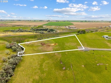 ** 4.23 Acres | 4.2 Acres Water Rights | Hermiston Irrigation - photo 4