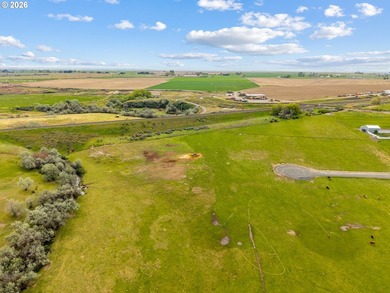 ** 4.23 Acres | 4.2 Acres Water Rights | Hermiston Irrigation - photo 5
