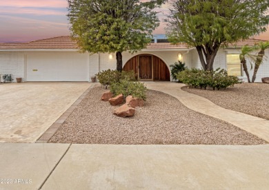 (private lake, pond, creek) Home For Sale in Sun City Arizona
