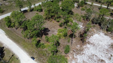 Lehigh Acres Area Lot For Sale in Lehigh Acres Florida