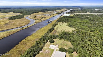 PRIME INDUSTRIAL LAND OPPORTUNITY IN PEARLINGTON, MISSISSIPPI - photo 2