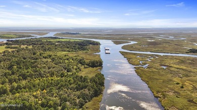 PRIME INDUSTRIAL LAND OPPORTUNITY IN PEARLINGTON, MISSISSIPPI - photo 4