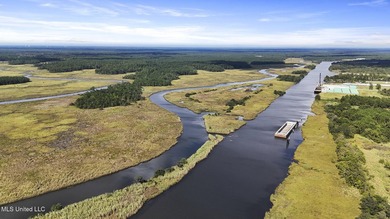 PRIME INDUSTRIAL LAND OPPORTUNITY IN PEARLINGTON, MISSISSIPPI - photo 6
