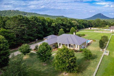 Exceptional custom home on 2+ acres near Pinnacle Mountain State - photo 2