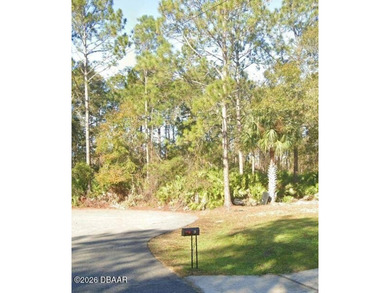 Nice high and dry lot located at the end of a quiet cul-de-sac - photo 2