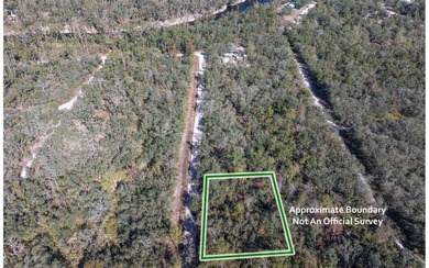 Suwannee River Lot For Sale in Live Oak Florida