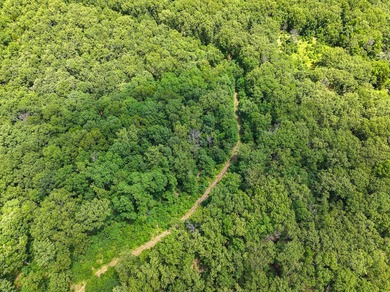 Discover this exceptional 144A+/- acre recreational and hunting - photo 3