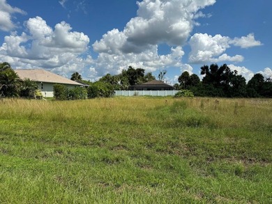 Embrace the Florida Lifestyle with this fantastic vacant land - photo 1