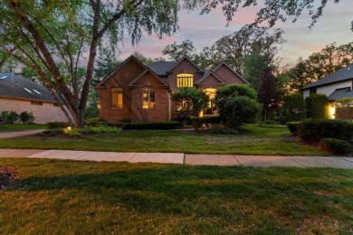 Lake Home For Sale in Lemont, Illinois