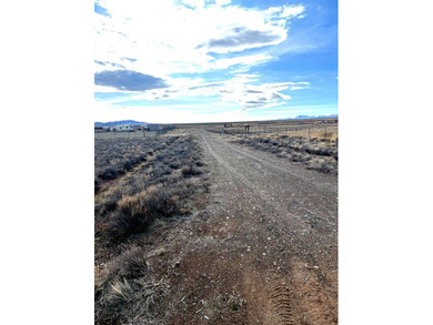 (private lake, pond, creek) Lot For Sale in Wildhorse Nevada