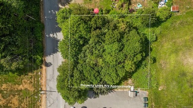 Beautiful views surround this multi-family lot in the heart of - photo 1
