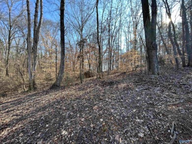 Lake Lot For Sale in Athens, Alabama