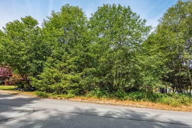 Beautiful views surround this multi-family lot in the heart of - photo 2