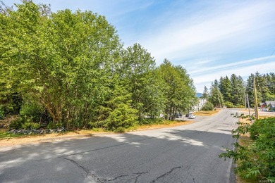 Beautiful views surround this multi-family lot in the heart of - photo 3