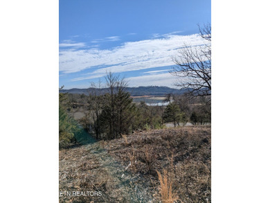 Outstanding elevated and cleared homesite with views of lake and - photo 9