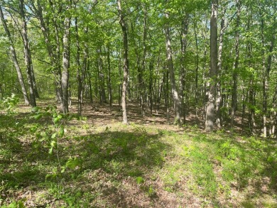 Lake Acreage For Sale in New Florence, Missouri
