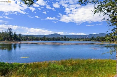 Price Impoved! Welcome Home to Phoenix Lake Park! This single - photo 4