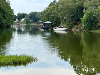 Lake Home For Sale in Lincoln, Alabama