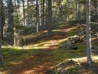 Prepared Building Lot in Hill Farm Estates! This 3.48 acre - photo 4
