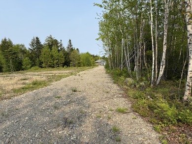 Prepared Building Lot in Hill Farm Estates! This 3.48 acre - photo 6