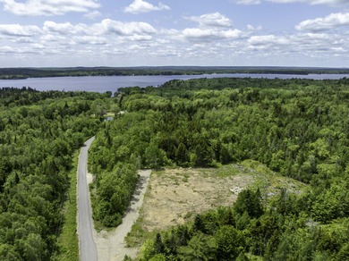 Prepared Building Lot in Hill Farm Estates! This 3.48 acre - photo 7