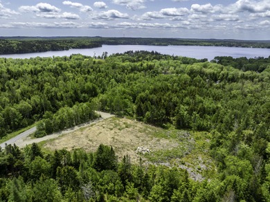 Prepared Building Lot in Hill Farm Estates! This 3.48 acre - photo 9