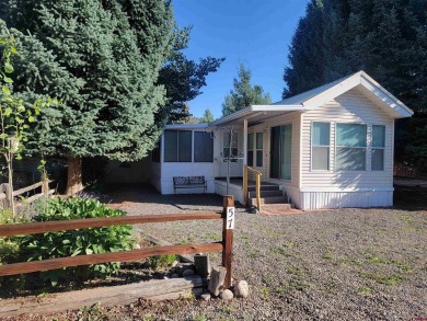 South Fork Rio Grande River Home For Sale in South Fork Colorado