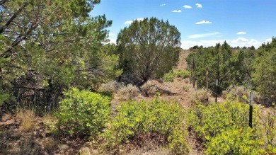 Lake Acreage For Sale in Yellow Jacket, Colorado