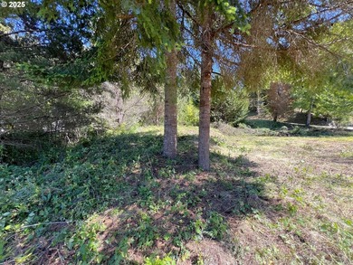 32 acres vacant lot in one of the most exclusive neighborhoods - photo 8