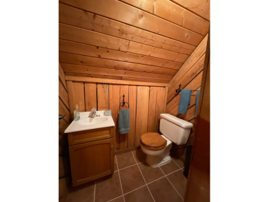 Raccoon Lake, Log Cabin, Lake Access - photo 21