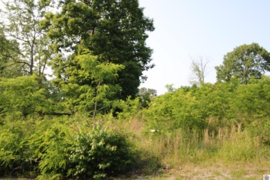 (private lake, pond, creek) Lot For Sale in Gilbertsville Kentucky