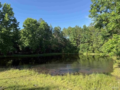 Located in Bay Pine Villas, this charming 3 bedroom, 2 bath home - photo 31