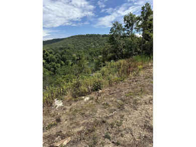 Prime building lot with beautiful mountain and Norfork river - photo 2