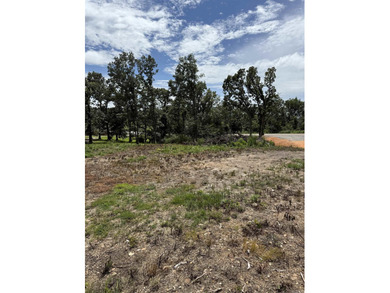Prime building lot with beautiful mountain and Norfork river - photo 3