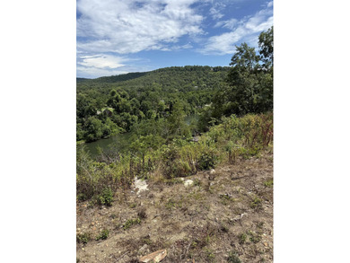 Prime building lot with beautiful mountain and Norfork river - photo 4