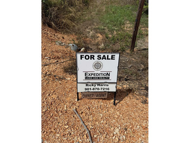 Prime building lot with beautiful mountain and Norfork river - photo 5