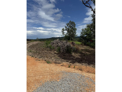 Prime building lot with beautiful mountain and Norfork river - photo 8