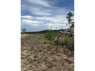 Prime building lot with beautiful mountain and Norfork river - photo 10