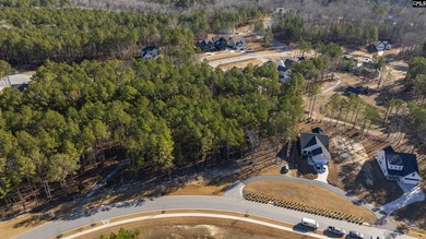 PLEASE VIEW THE VIRTUAL TOUR LINK. Lot 119 Stewart Landing Drive - photo 2