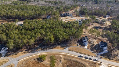 PLEASE VIEW THE VIRTUAL TOUR LINK. Lot 119 Stewart Landing Drive - photo 3