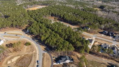 PLEASE VIEW THE VIRTUAL TOUR LINK. Lot 119 Stewart Landing Drive - photo 6
