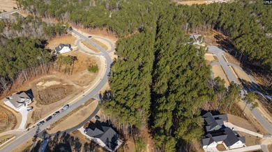 PLEASE VIEW THE VIRTUAL TOUR LINK. Lot 119 Stewart Landing Drive - photo 7
