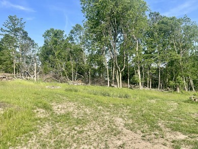 This .19 acre property offers several valuable improvements - photo 7