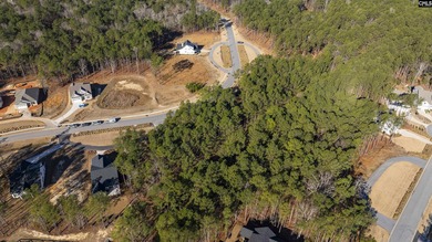PLEASE VIEW THE VIRTUAL TOUR LINK. Lot 119 Stewart Landing Drive - photo 8