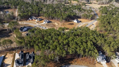 PLEASE VIEW THE VIRTUAL TOUR LINK. Lot 119 Stewart Landing Drive - photo 9