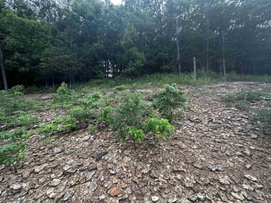 Greers Ferry Lake Lot For Sale in Shirley Arkansas