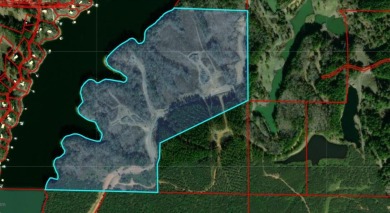 ATTENTION INVESTORS & DEVELOPERS! This rare 98-acre Smith Lake - photo 2