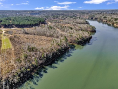 ATTENTION INVESTORS & DEVELOPERS! This rare 98-acre Smith Lake - photo 3