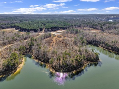 ATTENTION INVESTORS & DEVELOPERS! This rare 98-acre Smith Lake - photo 5