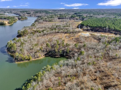 ATTENTION INVESTORS & DEVELOPERS! This rare 98-acre Smith Lake - photo 6